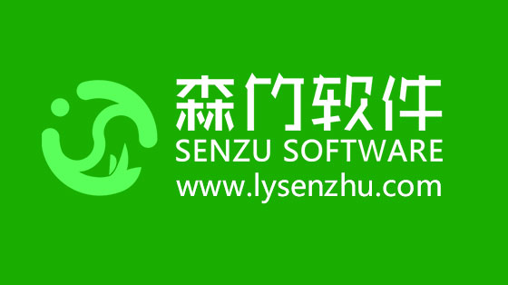 選擇森竹軟件服務(wù)，開發(fā)少走很多彎路！